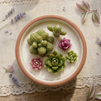 Jardin de Cactus + Suculentas